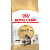 Royal Canin Main Coon